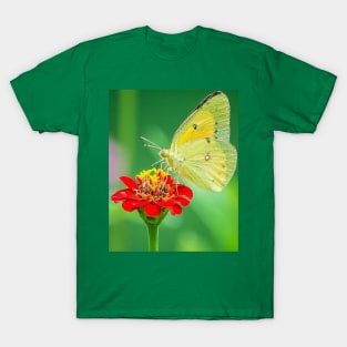 Yellow butterfly T-Shirt